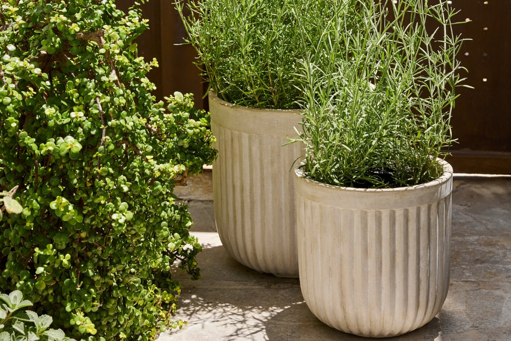 Záhradné kvetináče: zľava až 50 %