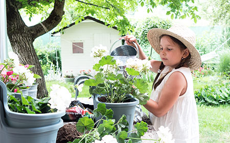 Deti a starostlivosť o rastlinky