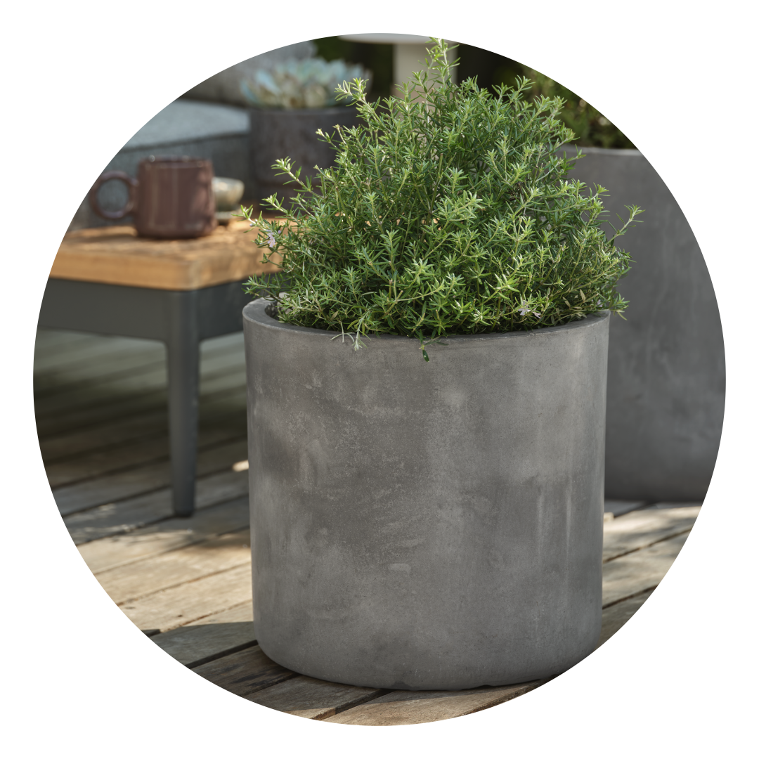 Planters