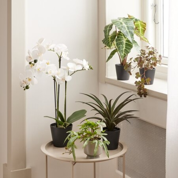 Artificial plants Potted artificial plants including a white orchid, ferns, and succulents, arranged on a round side table and a windowsill.